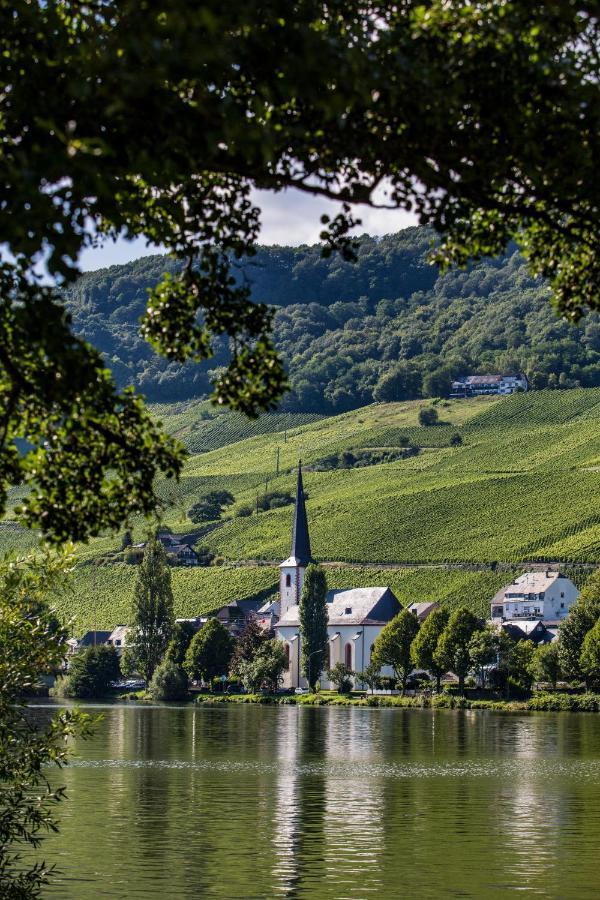 Kettern Urlaub Apartment Piesport Bagian luar foto